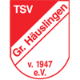 JSG Häuslingen U9