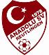 Anadolu SV Reutlingen