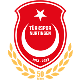 Türkspor Nürtingen 1973