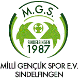 Milli Genclik Spor Sindelf.