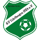 SV Udelfangen