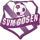 SV Müggelpark Gosen I