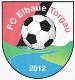 FC Elbaue Torgau