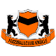 FC Knülle / SSC Südwest (Fz) -KF