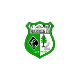 SV Grün-Weiß Niederstriegis
