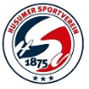 Husumer SV