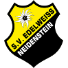 SV Neidenstein