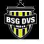 BSG Dvs 1993