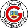 TSV Grossenkneten III