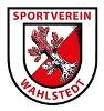 SV Wahlstedt III