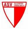 ASV Ellewick IV