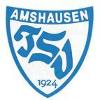 TSV Amshausen III