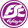 FSC Eisbergen III