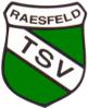 TSV Raesfeld III