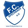 SpG Spechbach/Waldhilsbach 2