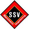 SSV Vogelstang 2