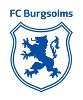 FC Burgsolms III