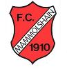 FC Mammolshain II