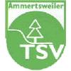 SGM TSV Ammertsweiler/VFL Mainhardt 2