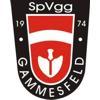 Spvgg Gammesfeld