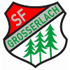 Spfr Großerlach - Flex