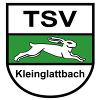 TSV Kleinglattbach II