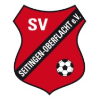 SV Seitingen-Oberflacht II