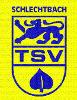 TSV Schlechtbach (flex)