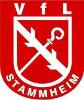 VfL Stammheim II  (flex)