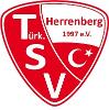 Türk.SV Herrenberg II