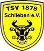 TSV 1878 Schlieben U18