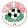 FSV Forst Borgsdorf