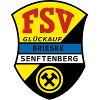 FSV Glückauf Brieske/Senftenberg