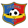 Pelsiner SV