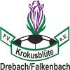 FV Krokusblüte Drebach/Falkenbach