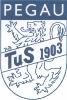 TuS Pegau 1903 I