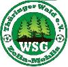 SG WSG Thür. Wald Zella-Mehlis (9)