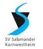 SV Salamander Kornwestheim III