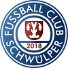 FC Schwülper III